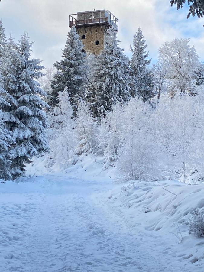 Platynowy Apartamento Szklarska Poręba Exterior foto