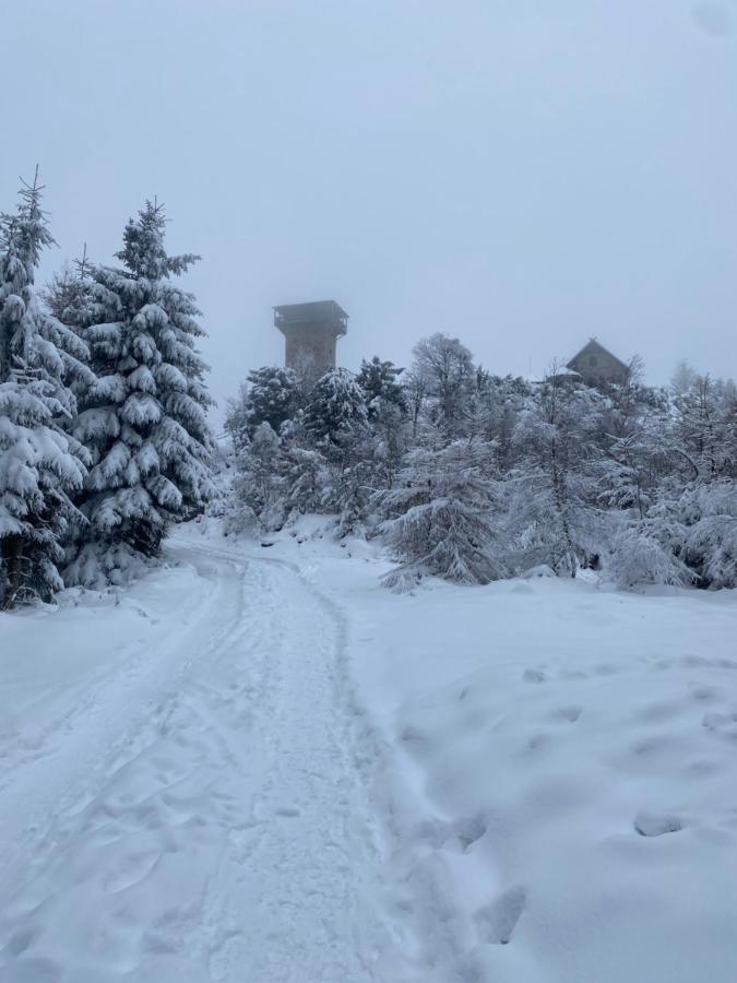 Platynowy Apartamento Szklarska Poręba Exterior foto